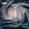 Cyclone