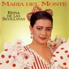 Reina De Las Sevillanas