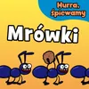 Mrówki