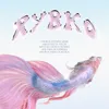 About Rybko Song