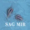 About Sag mir Song
