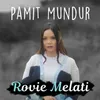 About Pamit Mundur Song