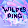 About WILDES DING Song