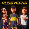 About APROVECHA Song