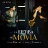 About La Hierba Se Movía En Vivo Song
