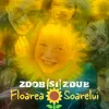 Floarea soarelui