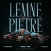 About Lemne și pietre Song