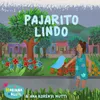 About Pajarito Lindo Song