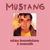 About Mustang Song