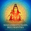 About Mahamrityunjaya Beej Mantra One Hour Chanting Song