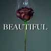 About Beautiful Song