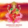 About Shreem Brzee One Hour Chanting Song