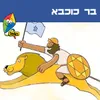 בר כוכבא