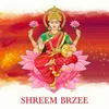 About Shreem Brzee Song