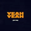 About Yeah Yeah Song