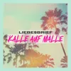 About Kalle auf Malle Song