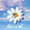 About Hold On Me Song