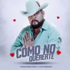 About Cómo No Quererte Song