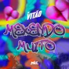 About Mexendo Muito Song