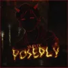 About Posedlý Song