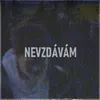 About Nevzdávám Song