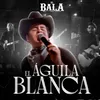 El Águila Blanca En Vivo