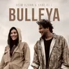 About Bulleya Song