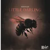 About Little Darling Song