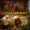 About Tamarindo En Vivo Song