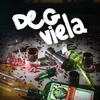 DEGVIELA