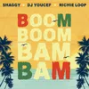 About Boom Boom Bam Bam Song