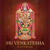 About Sri Venkatesha Stotram Song
