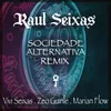 About Sociedade Alternativa Vivi Seixas, Flow & Zeo Remix Song