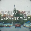 About Weryfikacja Song