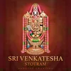 Sri Venkatesha Stotram Non-Stop Chanting