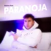 About Paranoja Song