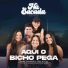 About Na Sacada #1: Aqui O Bicho Pega Song