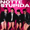 About NOTTE STUPIDA Song