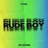 About Rude Boy Song