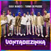 About Vontadezinha Ao Vivo Song