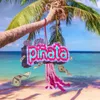About Piñata Song