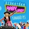 DJ BJ Kamarád pes