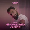 About Avionul meu privat Song