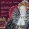 Tallis: Salve intemerata virgo