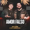 About Amor Falso Song