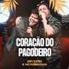 About Coração Do Pagodeiro Song