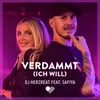 About Verdammt (ich will) Song