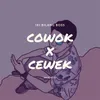 About Hey Cowok Cewek Song