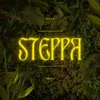 About Steppa Song