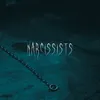 About narcissists Song